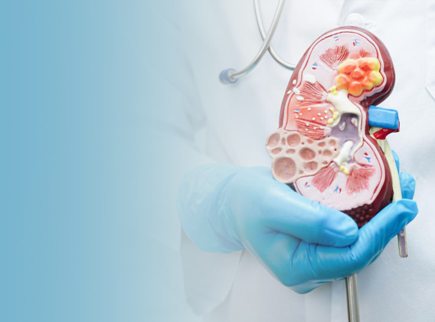 Записаться на консультацию к ведущему урологу