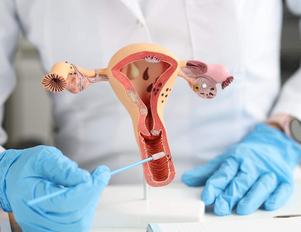 Gynecologist